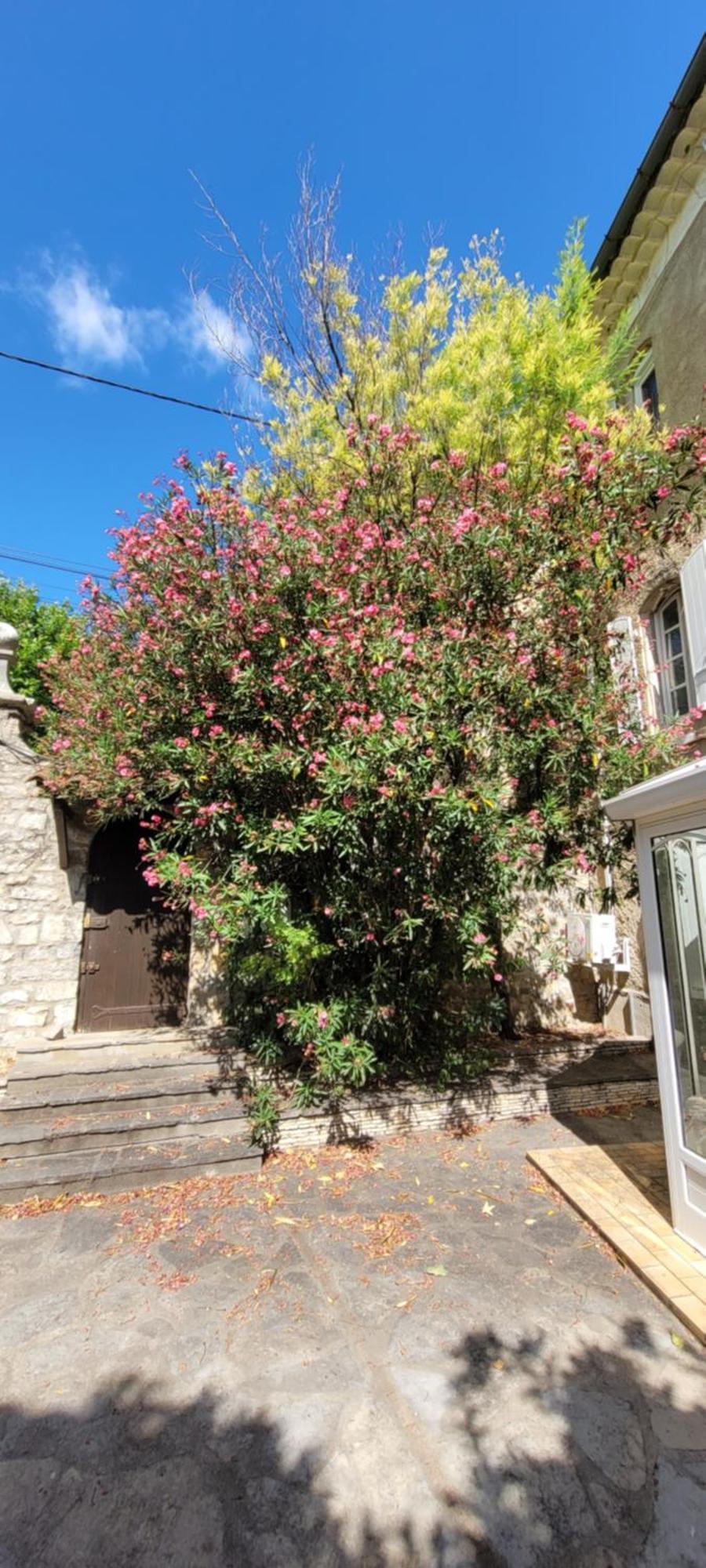 Le Domaine Du Soulier -Gite Et Chambres D'Hotes - La Maison Du Gardien Tornac Exterior photo